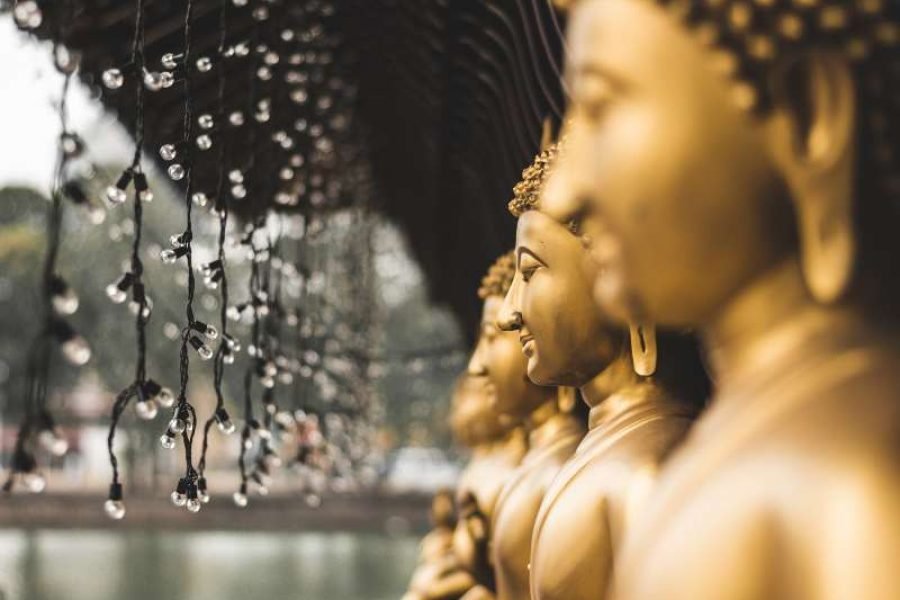 Sri Lanka Heritage Tour