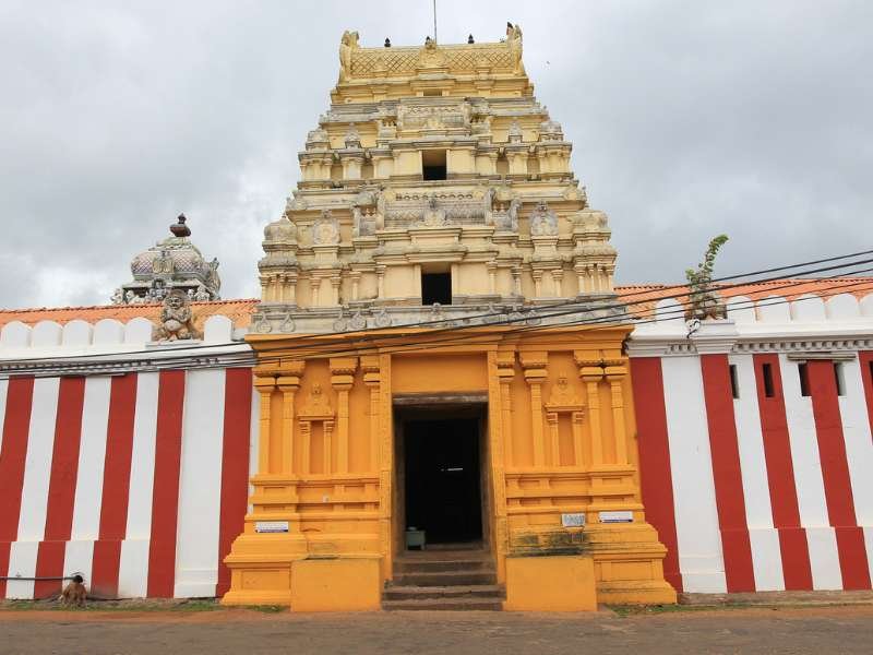 📍 Day 01: Airport – Chilaw – Dambulla / Sigiriya