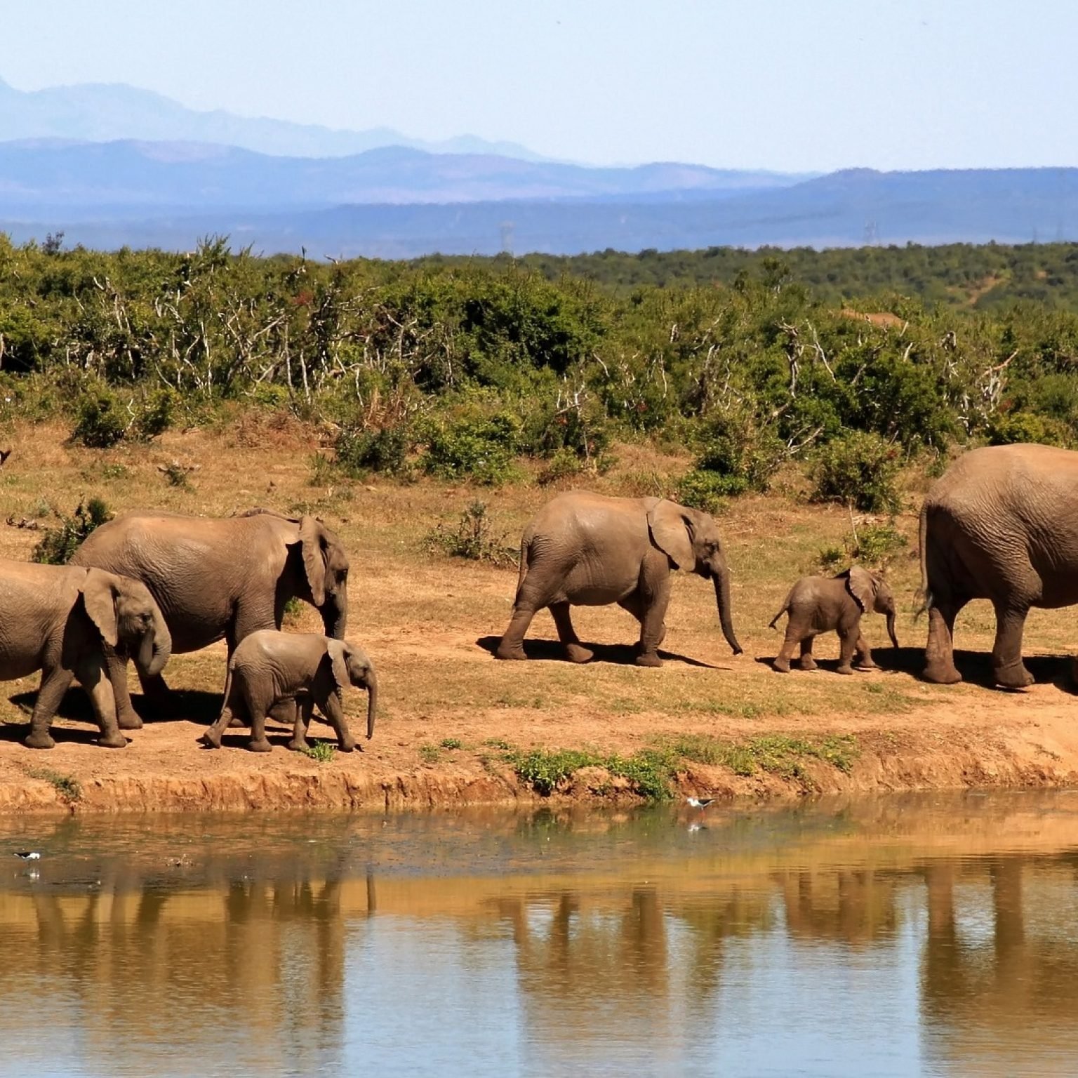 Wilpattu National Park