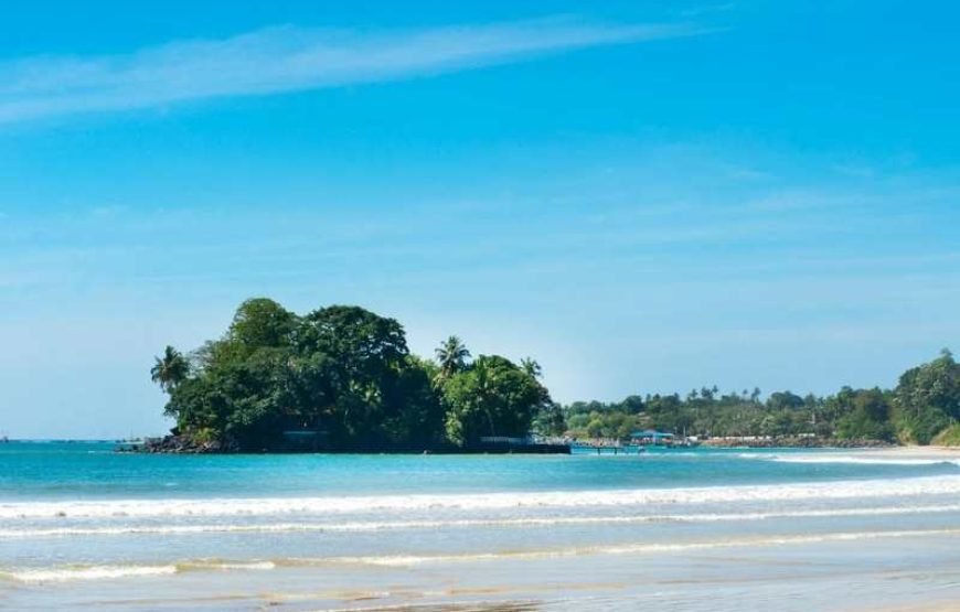 Whale Watching in Mirissa