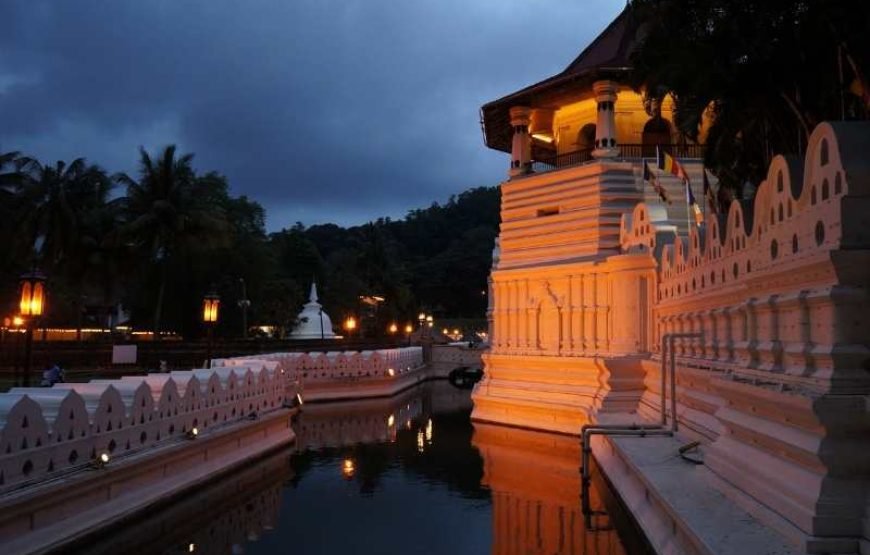 Temple of the Tooth Visit