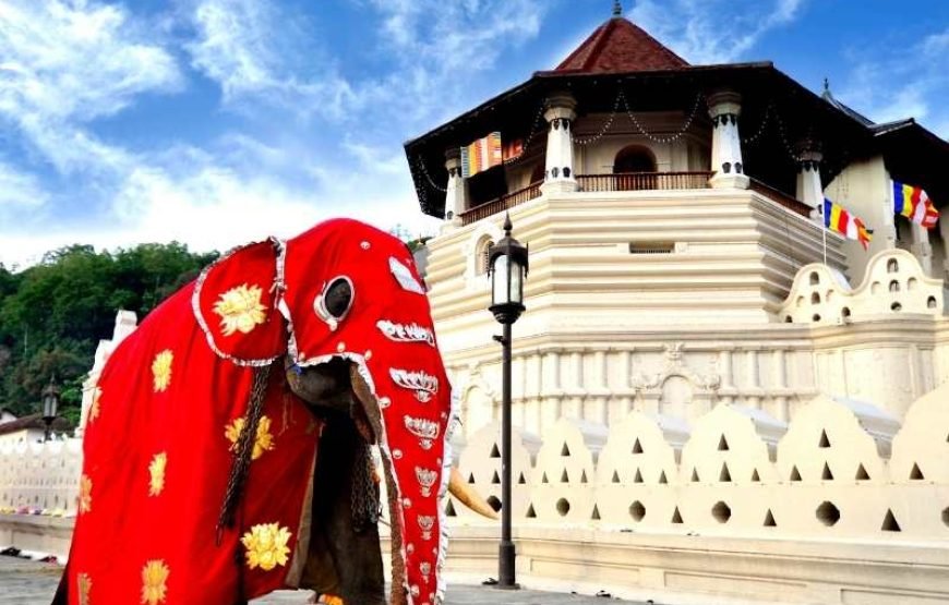Temple of the Tooth Visit