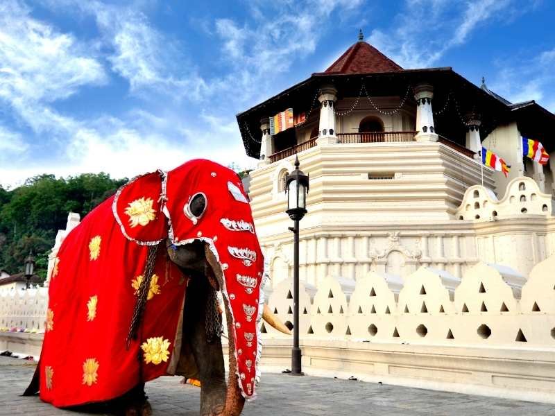 Day 3: Explore Kandy
