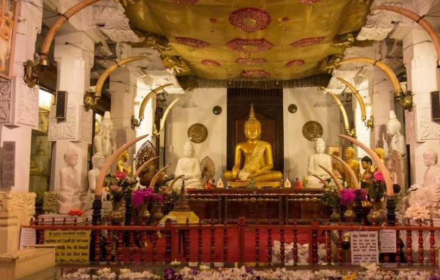 Temple of the Tooth Visit