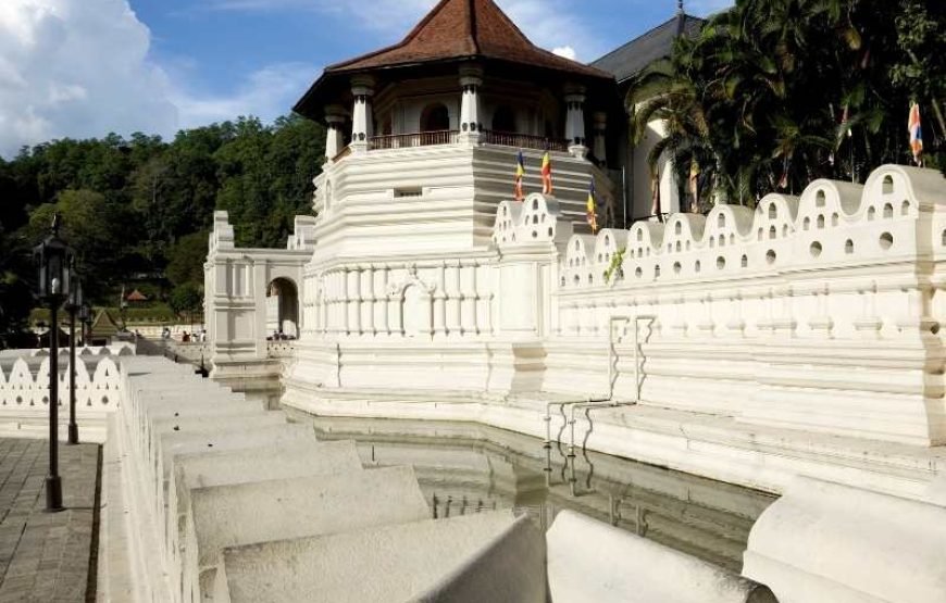 Temple of the Tooth Visit