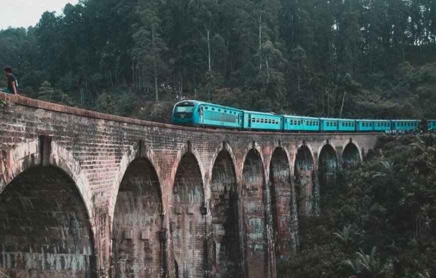 Ella Train Journey