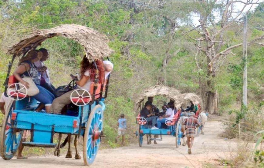 Sigiriya Village Tour