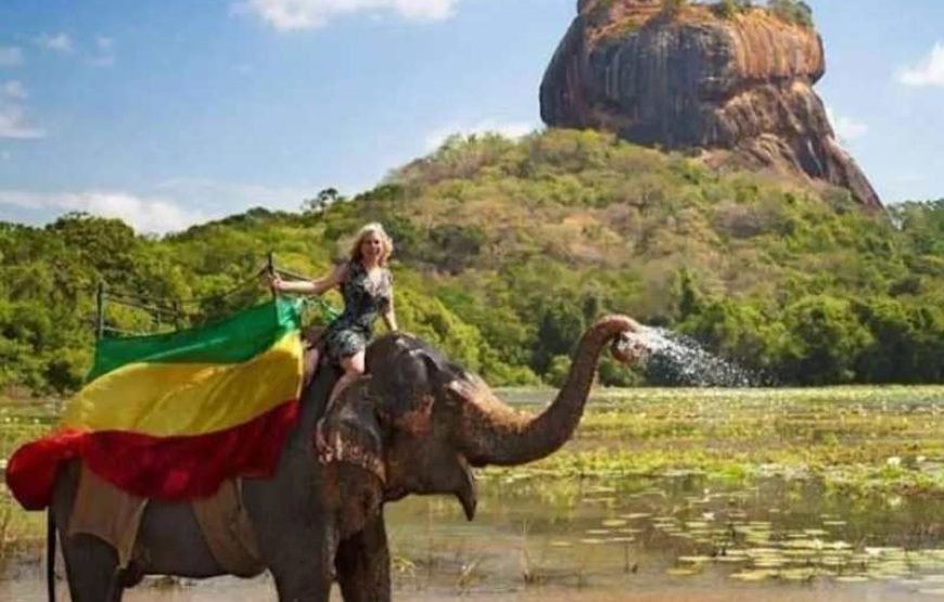 Sigiriya Village Tour