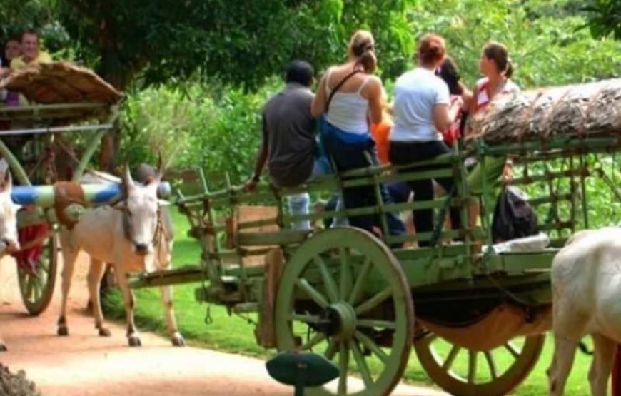 Sigiriya Village Tour
