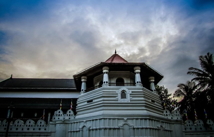 Temple of the Tooth Visit