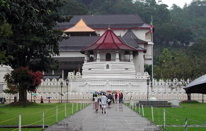 Temple of the Tooth Visit